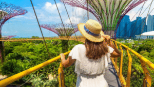 kuala lumpur to singapore