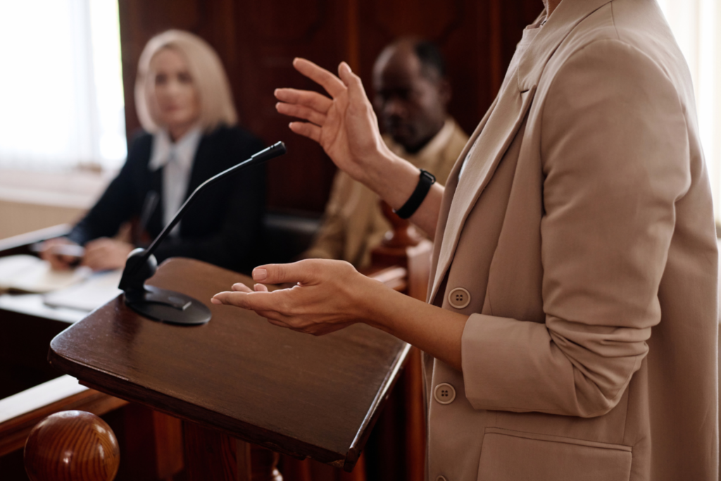 multimedia case presentation